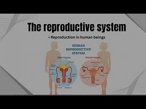 Human Reproductive System || biochem expert medical