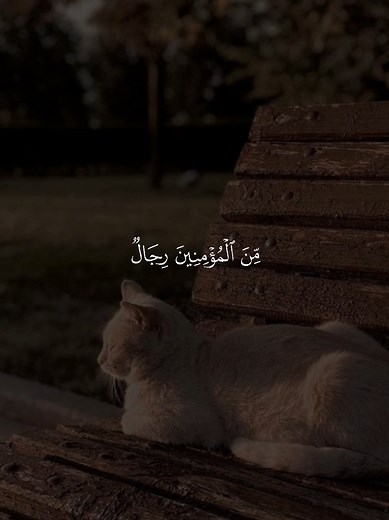 سورة الأحزاب مقطع تلاوة – آية 23 بصوت الشيخ بدر التركي