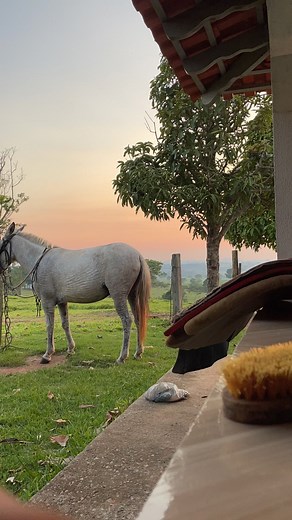 Cowboy and Horse: A Serene Sunset Encounter