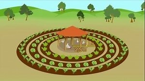 Produção integrada com horta e galinheiro aumenta a renda de agricultores no RJ