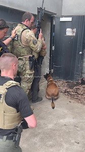#SKIDDS#K-9,#SWAT-DOG,#Police dog | K-9 Services