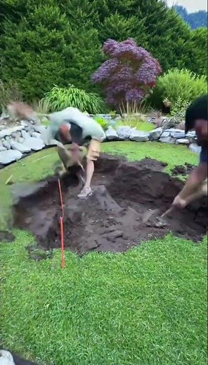 Aprenda a Fazer um Lago de Carpas com Um Orçamento Limitado! #lagoornamental #diy #orçamento