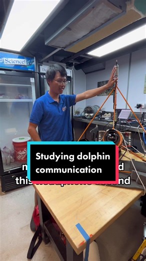 Abel Ho's Innovative Hydrophone and Underwater Video Array for Marine Mammal Communication Study