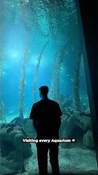 Visiting every aquarium in the world! 🐠 #portugal