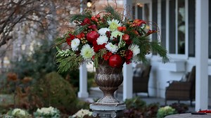 863K views · 19K reactions | Come and take a moment to witness the pure enchantment brought to life by Laura... ☃️  Sit back, relax, and let the magic unfold before your eyes! And as always, a huge thanks to our friends at Garden Answer !! | Proven Winners | Facebook