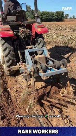 Who Needs Back Pain When This Machine RIPS Stalks Out?!