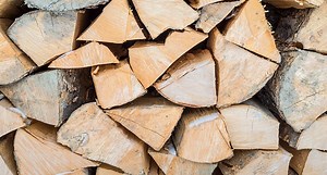 5 Chopping Axes Every Outdoorsman Will Want to Own