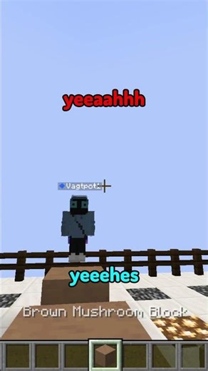 CRAZY Minecraft Twin Telepathy #shorts #minecraft