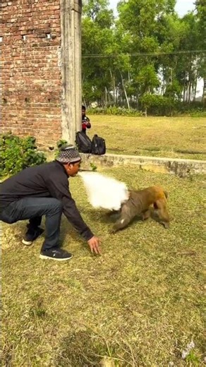monkey vs man #funny #monkey #lol #pleasesubscribe