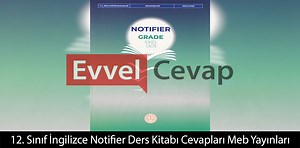 Work in pairs. Read the essay and join the sentences to explore the functions of the paragraphs.