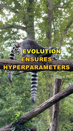 Unlock Hyperparameter Optimization Secrets With Population-Based Training