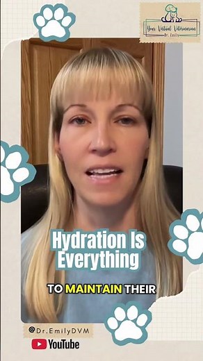 Excited your cat is suddenly drinking more water? #catcare #catckd