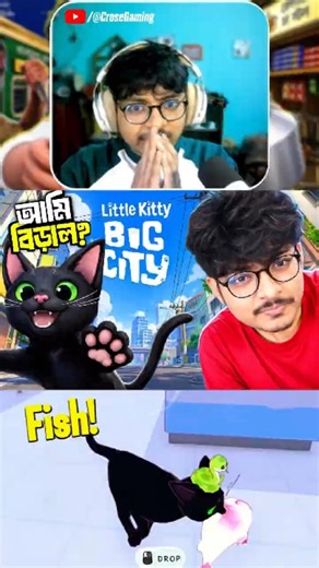 I Stole Fish and Got Caught by the Owner! 😿