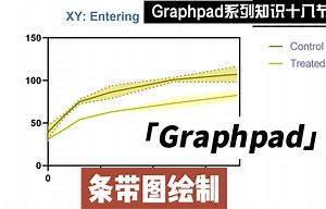 Graphpad绘制条带图
