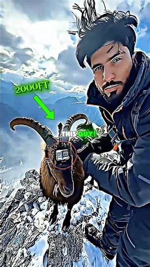 Goat Camera Captures Terrifying Mountain Run 😱 | Extreme Cliff POV#shorts