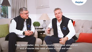 The question of whether to keep rabbits inside or outside is dependent on what works best for both you and your rabbits. Petplan experts, Nick Jones and Brian Faulkner discuss the common myth that rabbits are happiest outdoors... There are advantages and disadvantages to both options. Find out more about what both indoor and outdoor rabbits need to thrive on our website here 🐰👉 bit.ly/3VUf4Cy #RabbitAwarenessWeek | Petplan UK