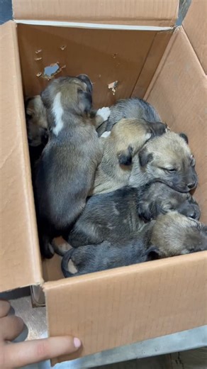 516 reactions · 27 shares | For 72 years, governments have carried...