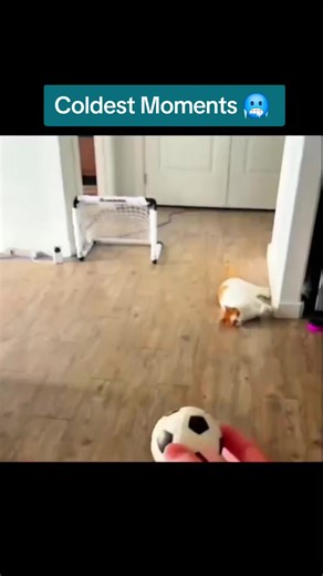 Exploring the Coldest Moments in Life