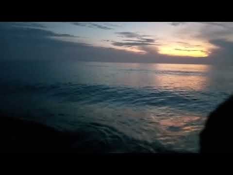 Ocean Waves to Deep Sleep 🌊 Soothing Nature Sounds | Peaceful Seaside Ambience Night