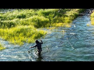 Yakutat, Alaska Fishing trip