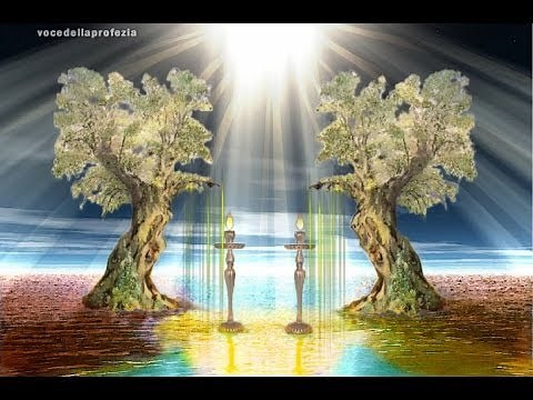 Apocalisse della Bibbia 25 L'Angelo di luce-I due Testimoni