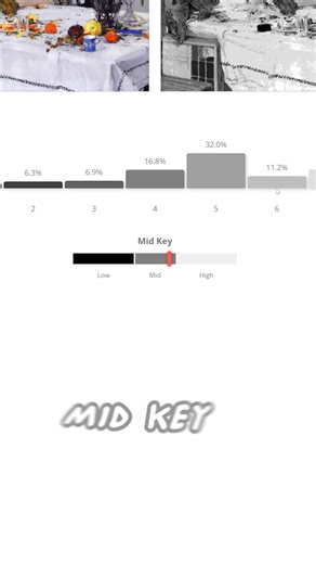New free tool! Simplify and redistribute values for easy value studies or for checking your own work. In a recent lesson on our channel, we talked about studying the work of artists you like to learn how they apply values to make stronger art. Check out the tool at proko.com/values | Proko