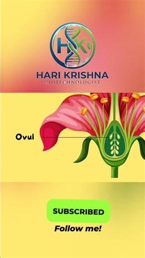 Label parts of flower in 20 seconds | Class 10, 12 Biology | Boards + NEET 🌸