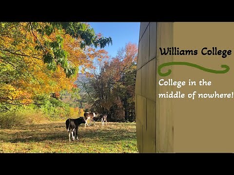 What they don't tell you about Williams College | Pros & Cons of a Rural Campus