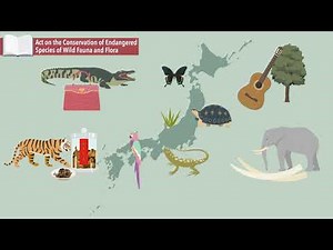 Actions for conserving threatened plants and animals