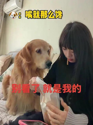 别看了 吃的就是我的 元宝：我生气！但我不敢说！@抖音小助手 #动物的迷惑行为 #小狗狗能有什么坏心思 #狗狗的心思都写在脸上了 #是宠物更是家人 #戏精狗狗的诞生 | 家有元宝