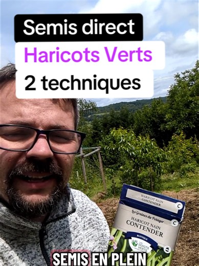 Semis Haricots Verts : Guide Complet Pleine Terre