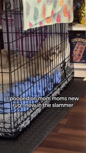 Mimi (@jemaimusic)’s videos with Locked Up - Akon