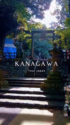 พาเที่ยวชม ศาลเจ้า Kawajiri Hachima จังหวัด kanagawa #travel in japan ⛩️