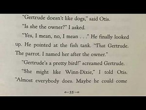 Because of Winn Dixie Chapter 8