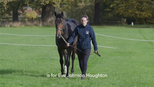 Introducing The Snipe Syndicate 🏇 We were thrilled to secure this striking son of Lucky Vega for 60,000 guineas at the Tattersalls Book 3 Sale, making him eligible for the £200,000 Somerville Auction Stakes in August and the £200,000 October Auction. Lucky Vega was a top-class racehorse himself, winning the Phoenix Stakes as a two-year-old and going on to place in the Middle Park, 2,000 Guineas, and St James’ Palace Stakes. His first European two-year-olds have already hit the track, including 