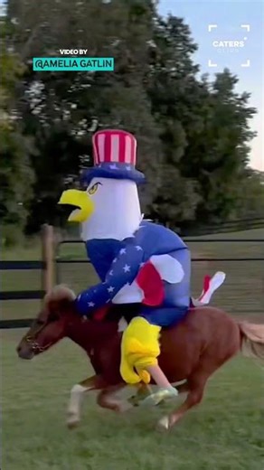 Costumes For The Modern Cowboy 🤠