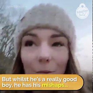 Watch this chocolate labrador bring his most prized possessions to his owner when she's having a bad day 🥺 | Lovimals