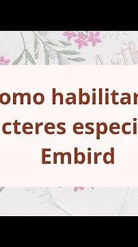 Como habilitar caracteres especiais no programa Embird