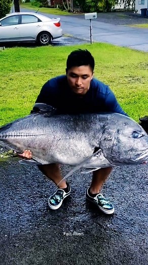 527K views · 3.1K reactions | Reality of Japan You Must Know 勞 . . . . . #facts #reelsvideo #viral #trending #amazingfacts | Fact Albert | Facebook