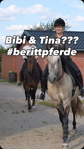 ❤️ Berittpferde ❤️ . Jedes Pferd kann seinen Frieden mit dem Menschen finden, davon bin ich überzeugt. Manche brauchen länger, andere kürzer, aber ich bin mir sicher, dass es immer Wege gibt 😊 . Was in der Pferdeausbildung nichts zu suchen hat ist schlechtes Timing, fehlende Selbstreflexion und Unverständnis, falsche Analysen… . . Was oft zu kurz kommt ist eine gewisse Konsequenz in der Basisarbeit. . . Unsere beiden Berittpferde hier kamen roh zu uns, und jetzt können wir mit Ihnen Bibi & Tina