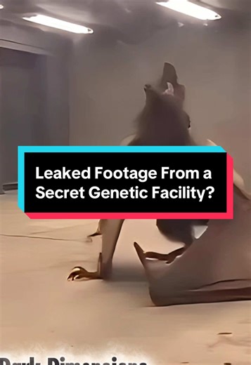 Leaked Footage From a Secret Genetic Facility? This isn’t for everyone. A disturbing clip has been circulating online… and rumors claim it was leaked from a highly classified genetic testing facility. What you’re about to see doesn’t look natural. The creature appears to be some kind of hybrid — part bat, part wolf… maybe even something rodent-like. Its limbs are unnaturally long. The proportions feel wrong. And the way it moves… it’s deeply unsettling. So the real questions are: • Who would be 