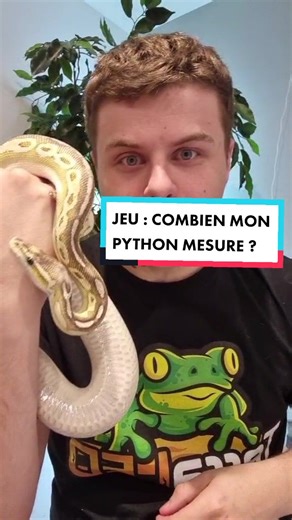 Jeu : Quelle est la taille de mon Python Royal ?