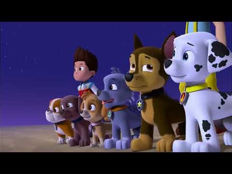 Paw Patrol Missing Merpup Mystery - Search for Answers!