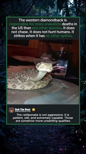 Indiana Jones and The Diamondback Rattlesnake