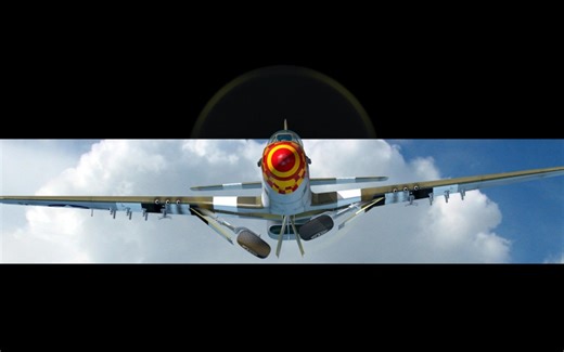 [飞不飞得起来首先要看它好不好看]DCS：P-51 三本手册和机载武器