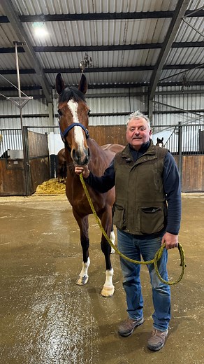 Goresbridge Horse Sales on Reels