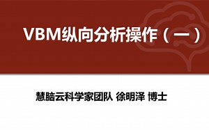 慧脑云｜VBM纵向分析操作(一)