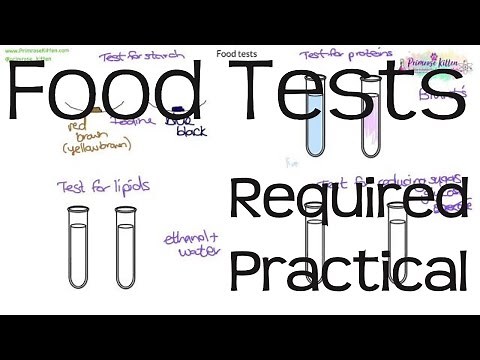 Food Tests | Required Practical Biology GCSE or iGCSE