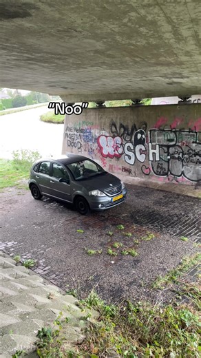 Conversations About Snow: Why It's Not Liked