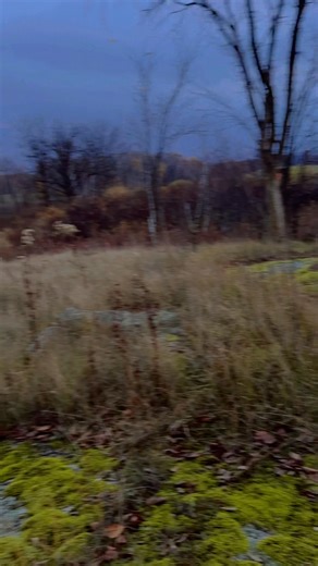 Jester Thomas on Reels | Facebook